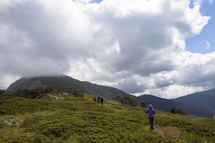 Ilgaz Dağı